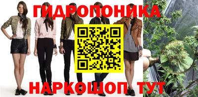 стаф Апшеронск