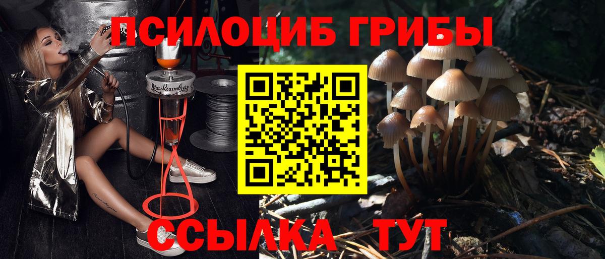Псилоцибиновые грибы Psilocybine cubensis  Галлюциногенные грибы мухоморы  Бийск  купить закладку  Вход с VPN 